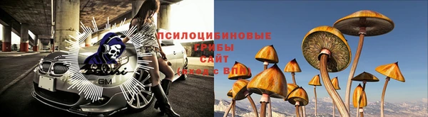 трава Армянск