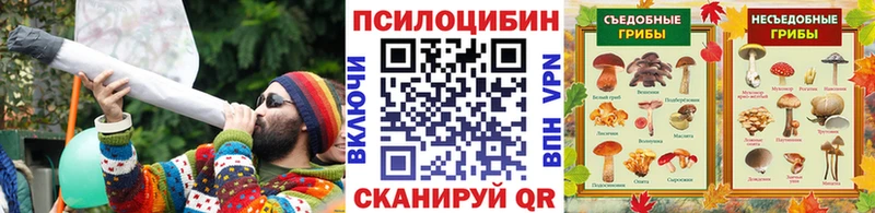 Псилоцибиновые грибы GOLDEN TEACHER  сколько стоит  blacksprut маркетплейс  Бакал 